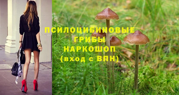 амфетамин Белокуриха