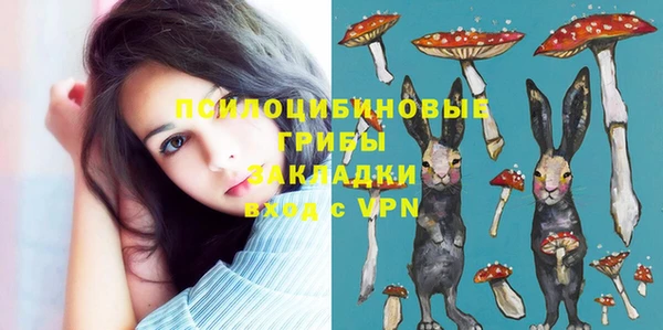 амфетамин Белокуриха