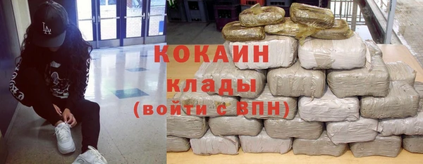 дмт Снежногорск