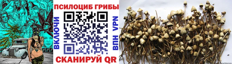 Галлюциногенные грибы MAGIC MUSHROOMS  Чёрмоз 